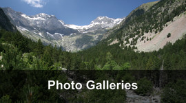 Photo-Galleries